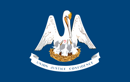 louisiana-flag-graphic