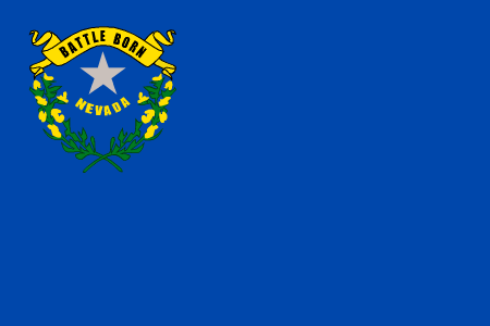 nevada-flag-graphic