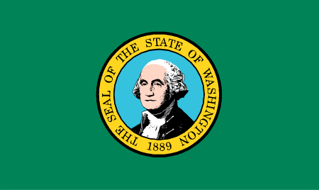 washington-flag-graphic