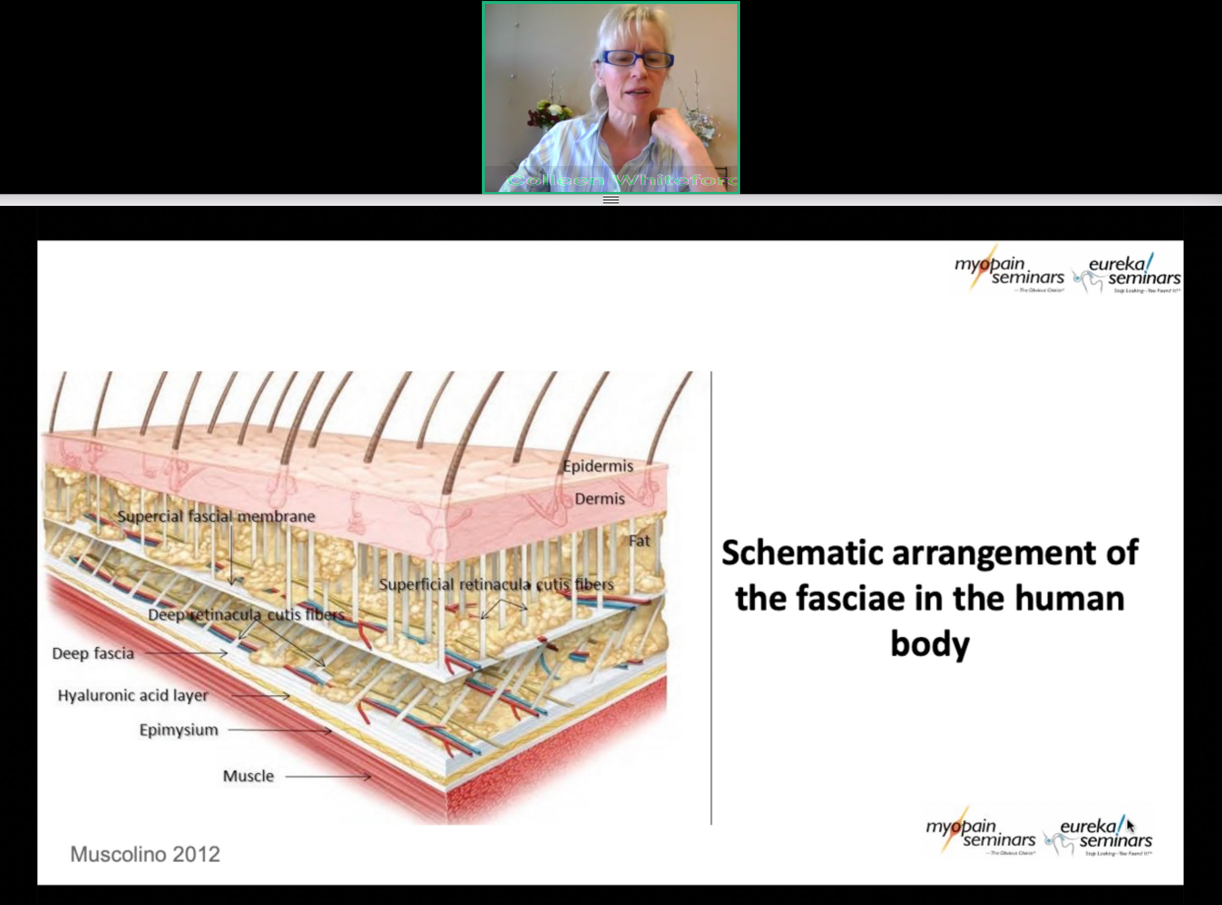 Fascial Manipulation - Stecco ® Webinar - Myopain Seminars