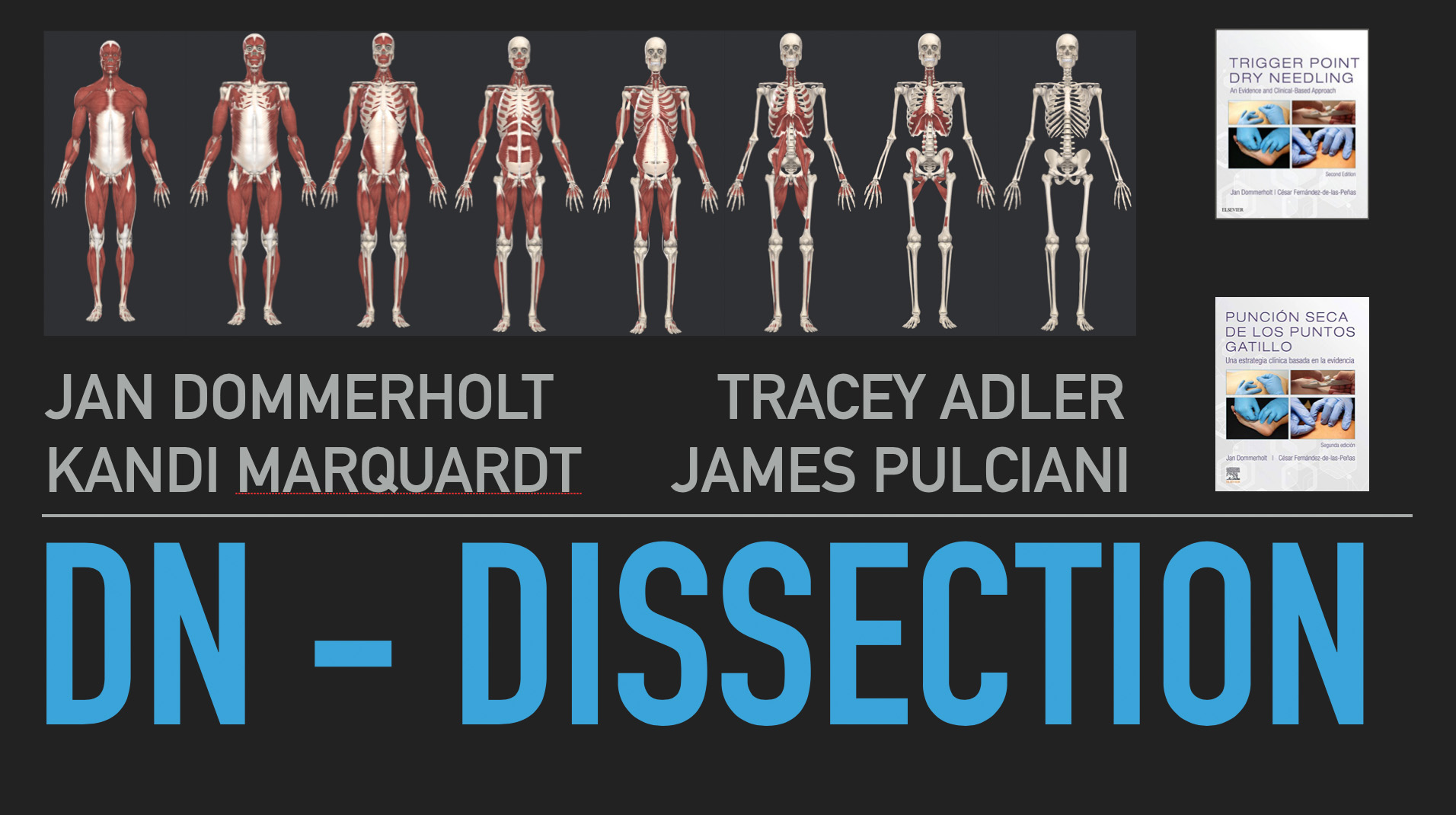 Dry Needling Dissection Course Myopain Seminars