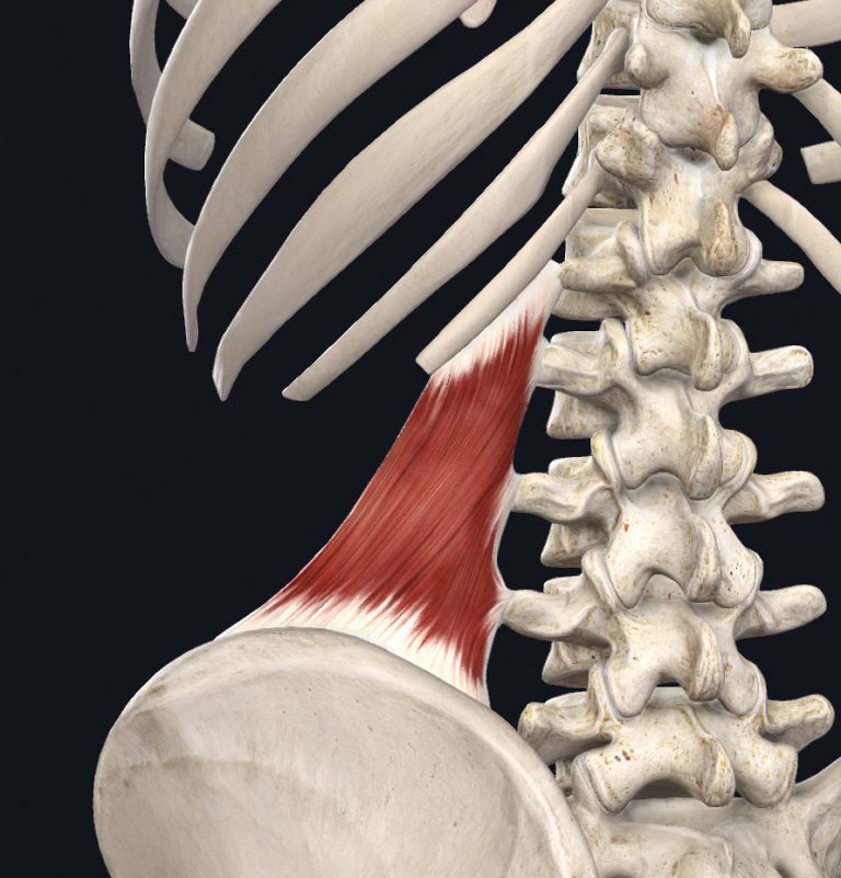 Dry Needling & Trigger Point Management in the Dancer Patient