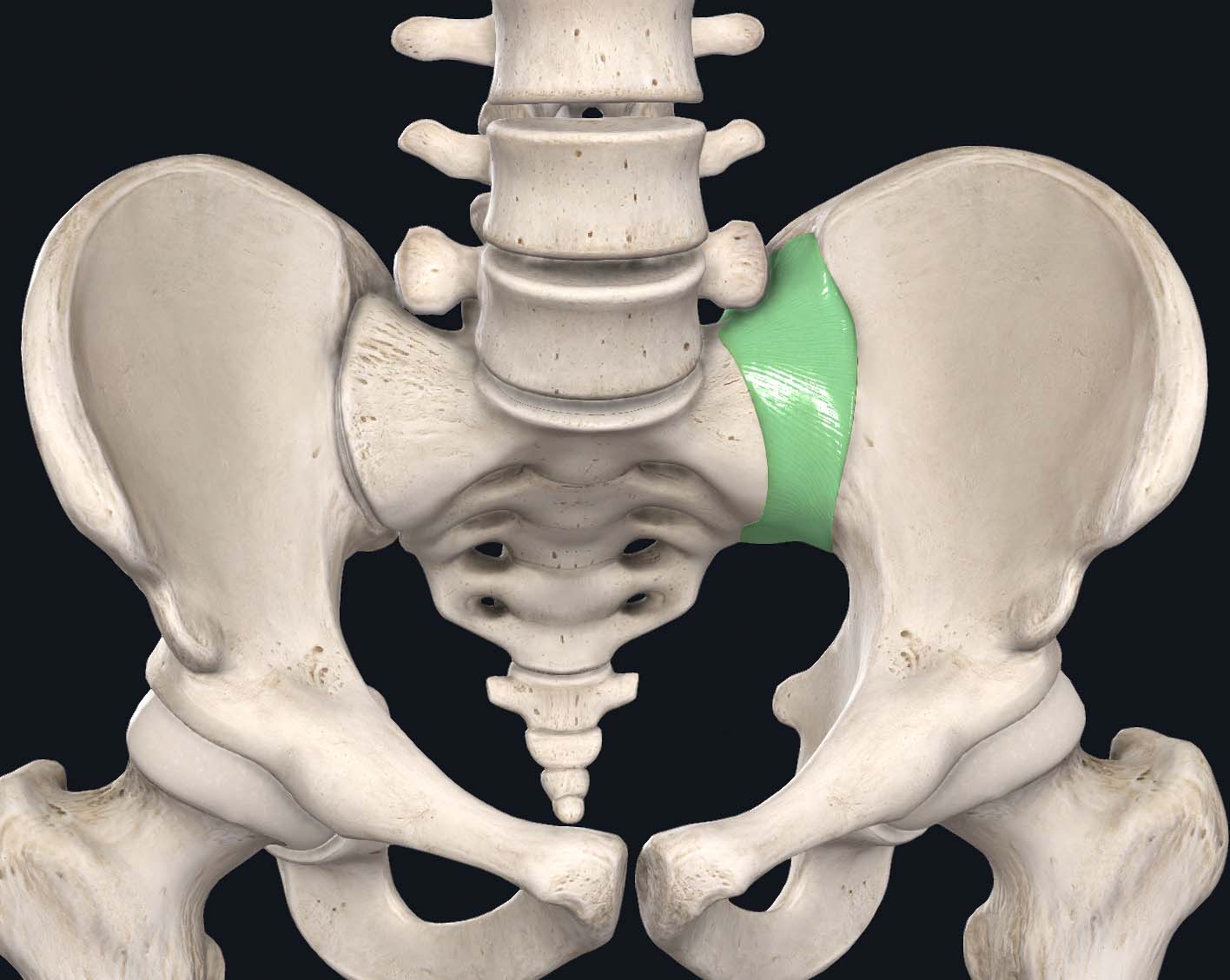 Medial Knee Pain in Runners - Examination and Treatment